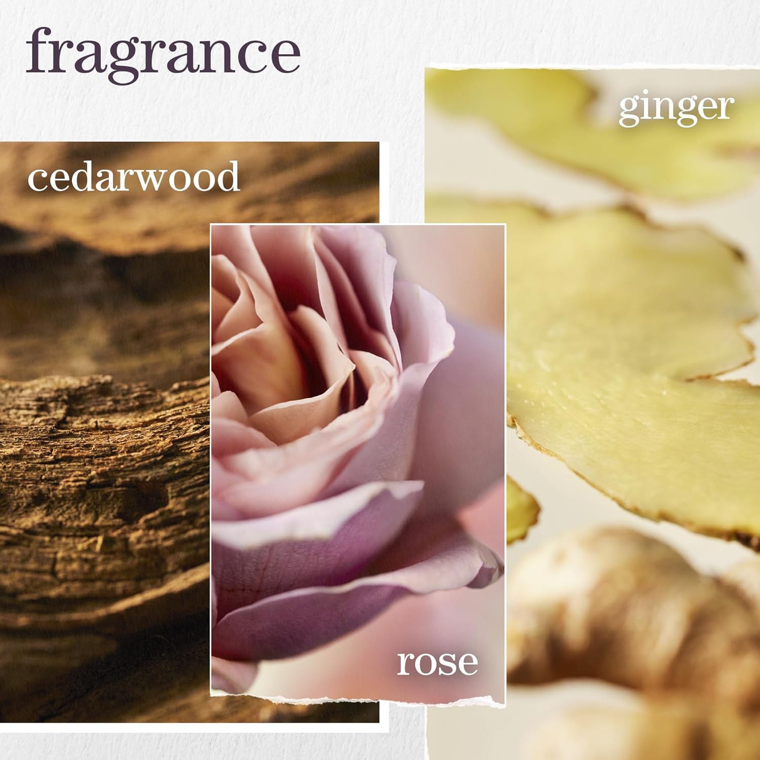 Pureology Color Fanatic Multi-Tasking Leave-In Spray